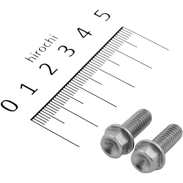 スモールフランジ六角ボルト ステンレス M6x15 P1.0 2本入り