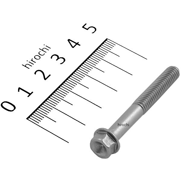 スモールフランジ六角ボルト ステンレス M6x45 P1.0 1本入り