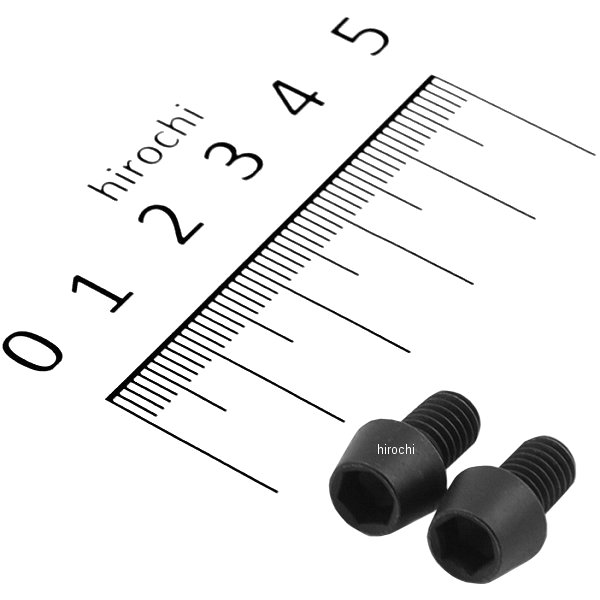 テーパーキャップボルトセット 汎用 M6x10mm P-1.0 ステンレス 2本入り 黒