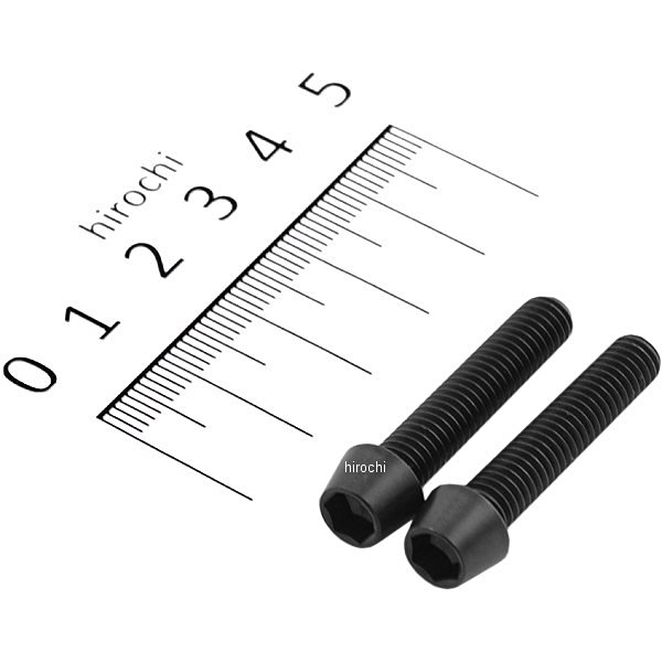 テーパーキャップボルトセット 汎用 M6x30mm P-1.0 ステンレス 2本入り 黒
