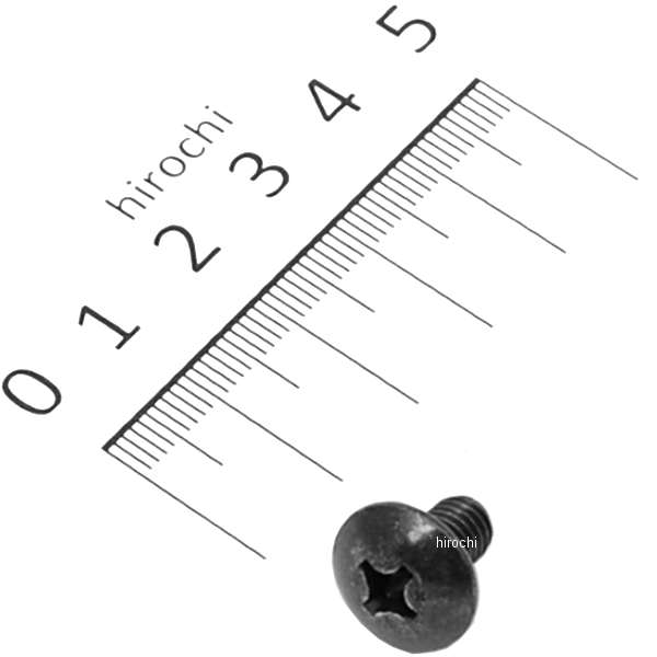 スクリュー スペシャル 6×10 90190-MJ8-000