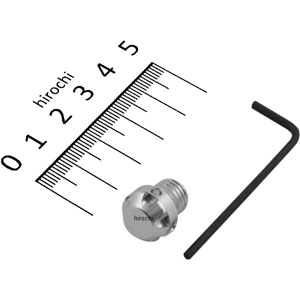 ミラーホールカバーキャップ NASAタイプ 1個入り 10mm逆ネジ シルバー