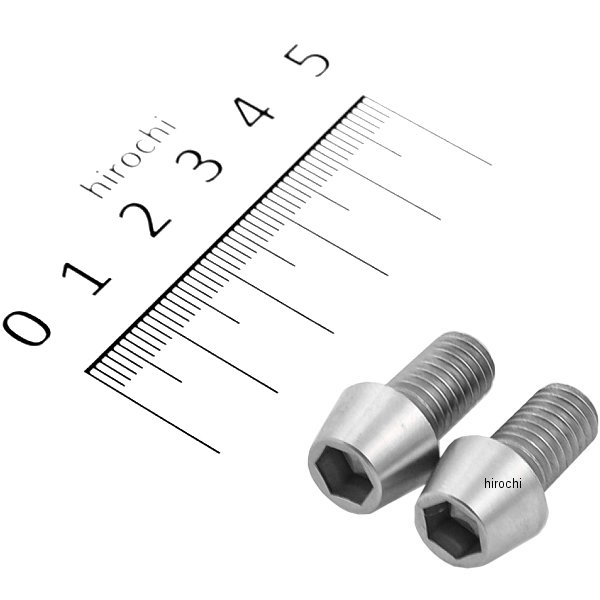 テーパーキャップボルトセット 汎用 M8x15mm ステンレス 2本入り