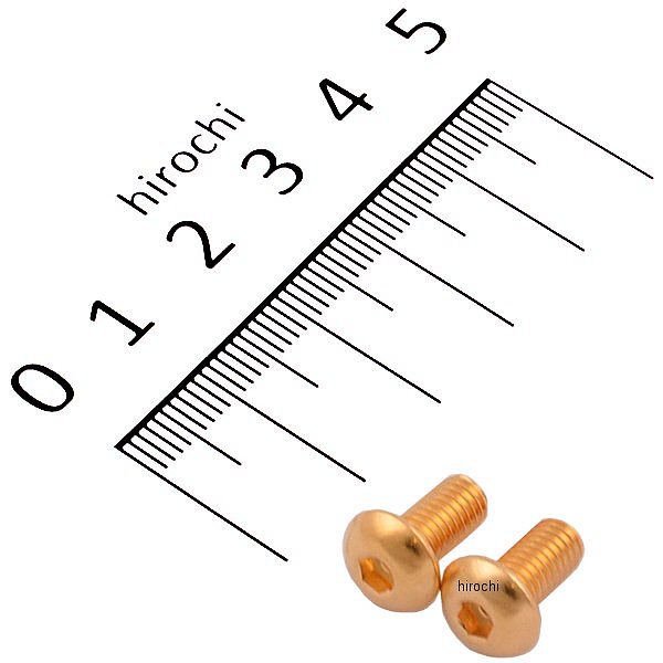 SUS304 六角穴付きボタンキャップボルト M5x10 P0.80 24Kメッキ