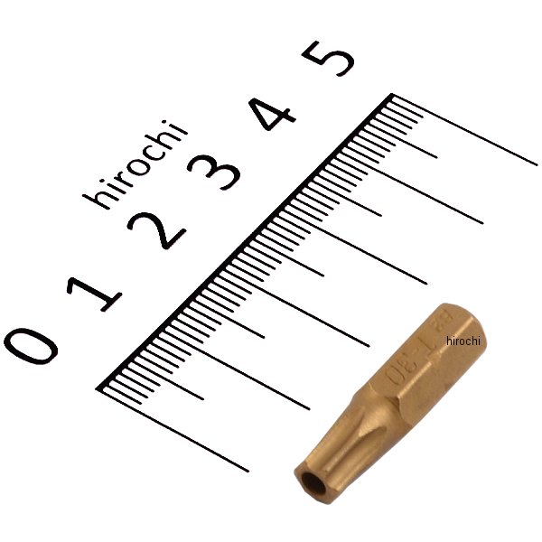 1/4インチ チタンコーティングイジリ止ビット TX30