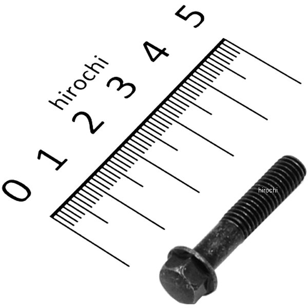 ボルト フランジ 6×30 96001-06030-07