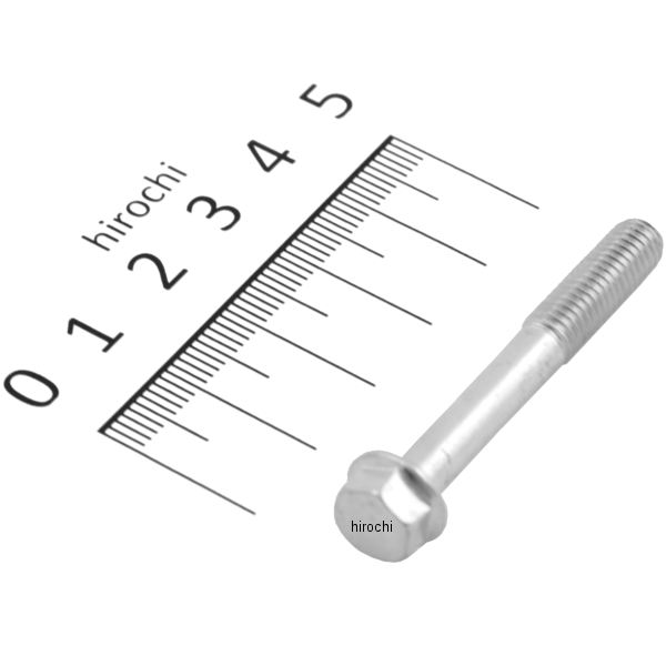 フランジボルト 6×45 96001-0604500