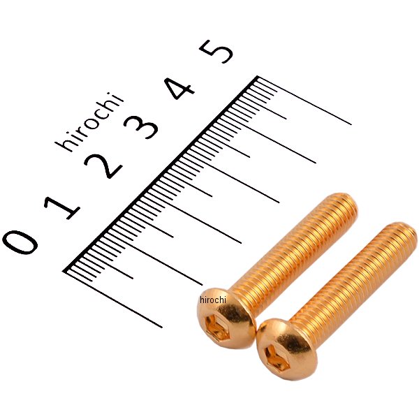 SUS304 六角穴付きボタンキャップボルト M6x30 P1.0 24Kメッキ