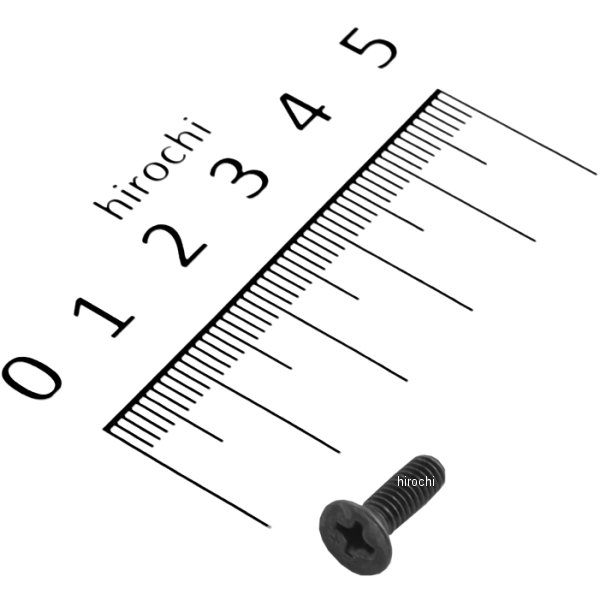 スクリュー フラット 4×12 93600-040120G