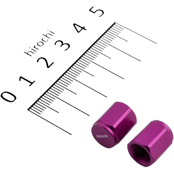 エアーバルブキャップ ヘックス プレーン 2個入り ブルーベリー