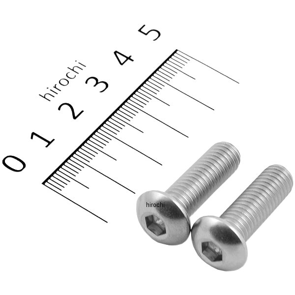 ボタンキャップボルトセット 汎用 M8x25mm ステンレス 2本入り