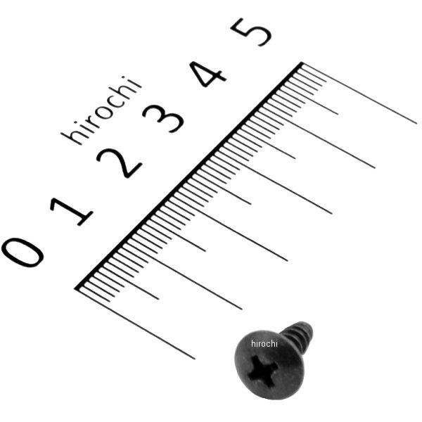 スクリュー タッピング 4×10 93903-24280