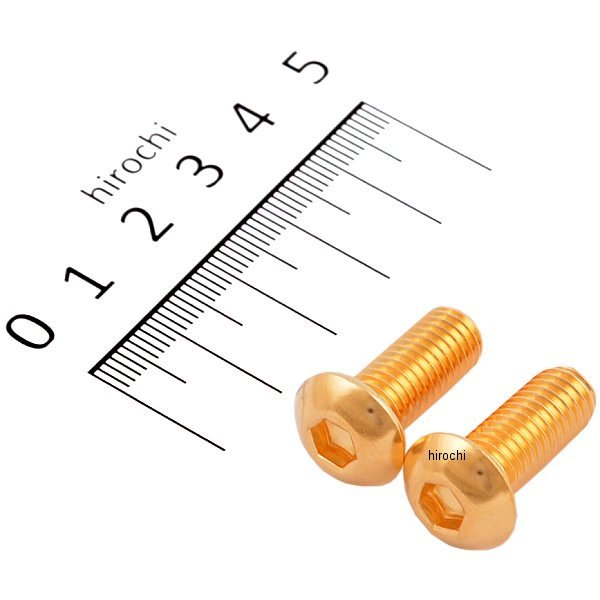 SUS304 六角穴付きボタンキャップボルト M8x20 P1.25 24Kメッキ