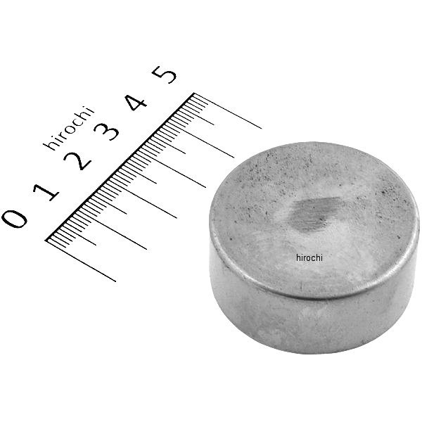 Piston 1.625 X.700 S/S Reg Cal