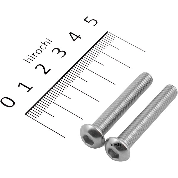 ボタンキャップボルトセット 汎用 M6x35mm ステンレス 2本入り