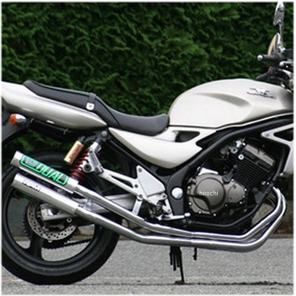 フルエキゾースト デュアル 右2本出し 91年-99年 バリオス アルミ