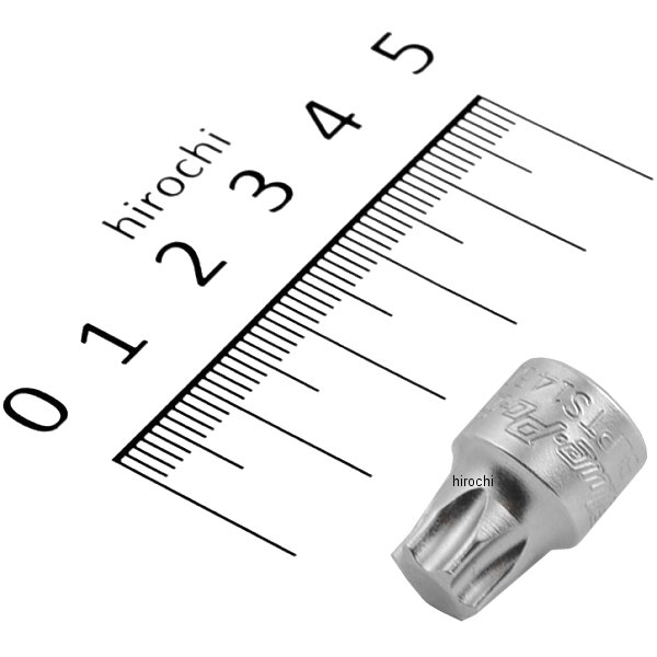 ブルーポイント 1/4インチ トルクス ビット スタビ T50