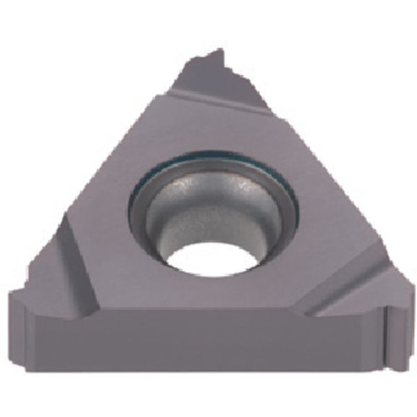 旋削用ねじ切りTACチップ COAT 5個入り