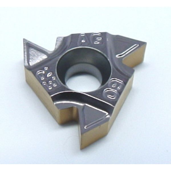 D チップ COAT 5個入り