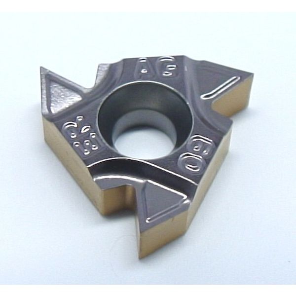 D チップ COAT 5個入り