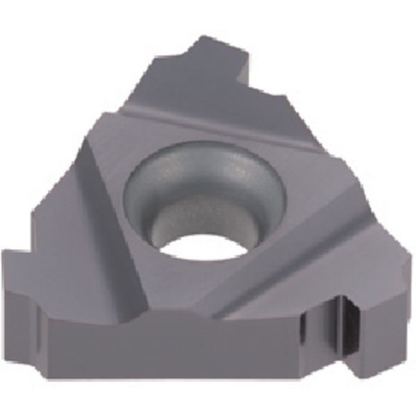 旋削用ねじ切りTACチップ COAT 5個入り