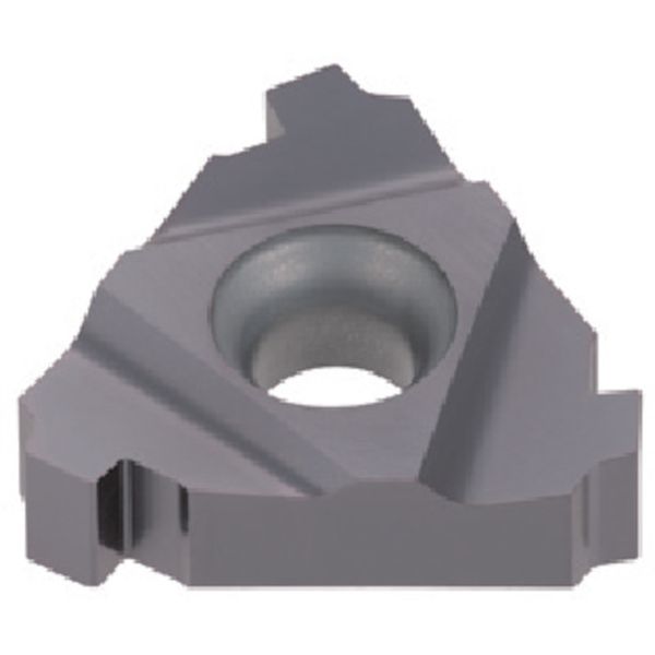 旋削用ねじ切りTACチップ COAT 5個入り