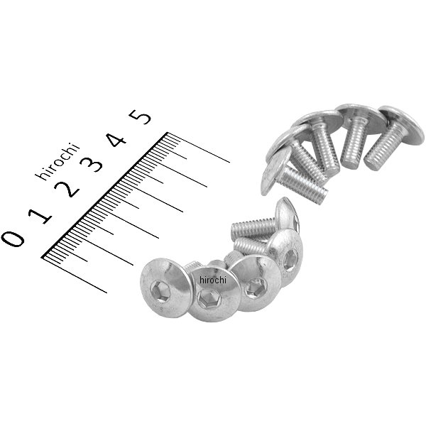 フェアリング ボルト M5 x 0.8 x 12 (10個入り)