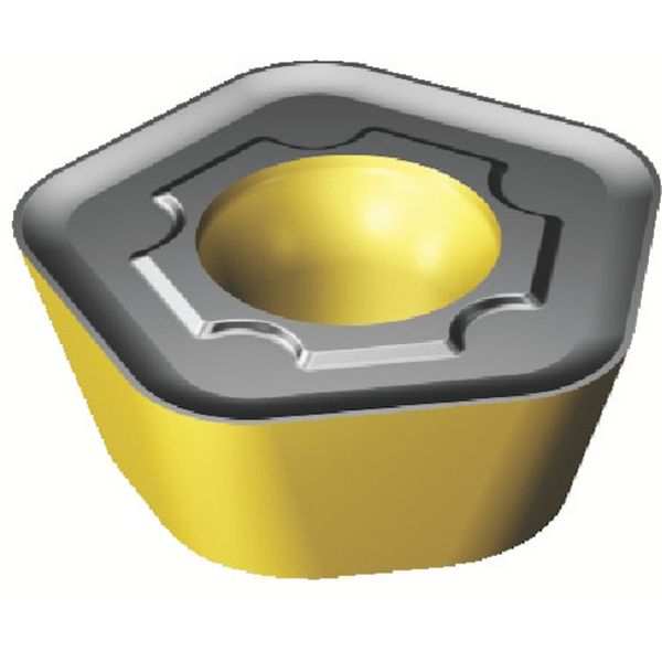 コロミル419チップ 10個入り