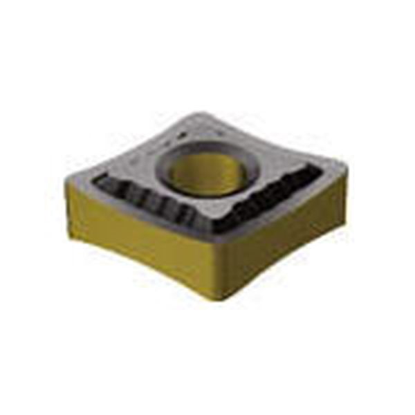 T-MAXPチップ COAT 10個入り