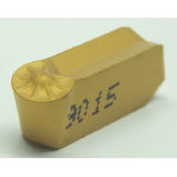 A チップ COAT 10個入り