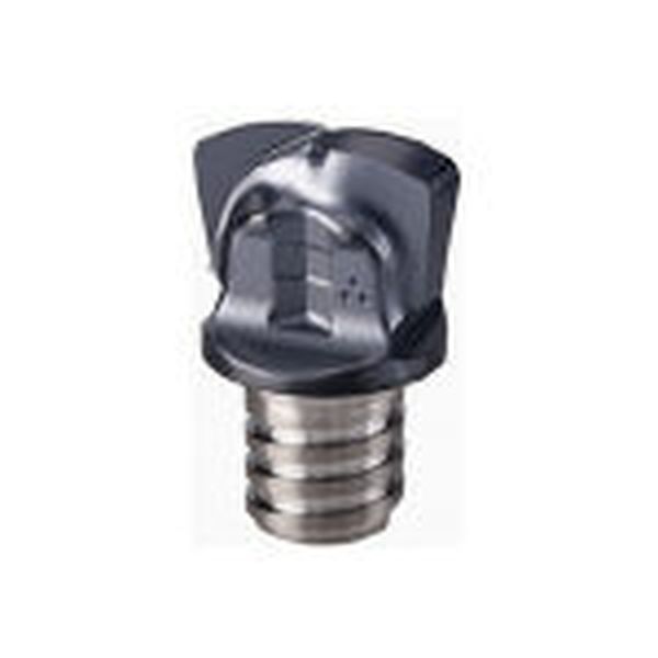 MMFF160R2.0L202T10   C マルチマスターチップ COAT 2個入り