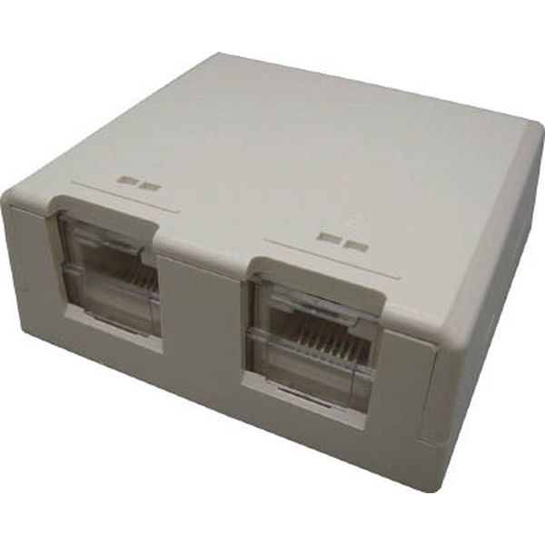 カテゴリ６Ａスライド式シャッター付きローゼットキット　２個口