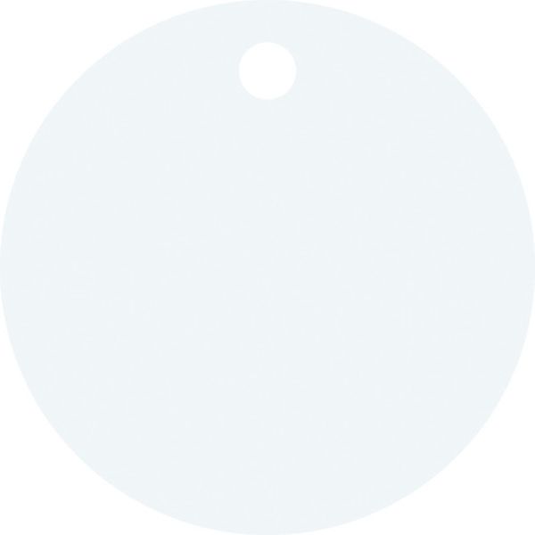 ステンレス札・丸型　無地タイプ　３０ｍｍΦ　１０枚組