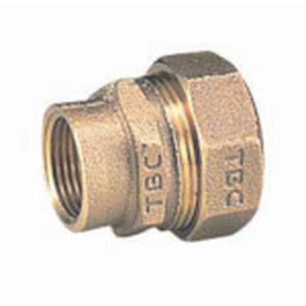 ＴＢＣ　ＰＥ継手メネジ１種３０ｍｍ