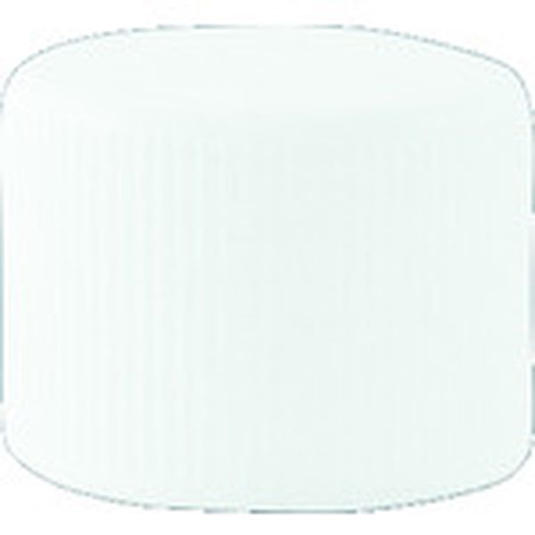 ８００ＣＡＰ（４１．５φ）Ｎｏ．１（白）