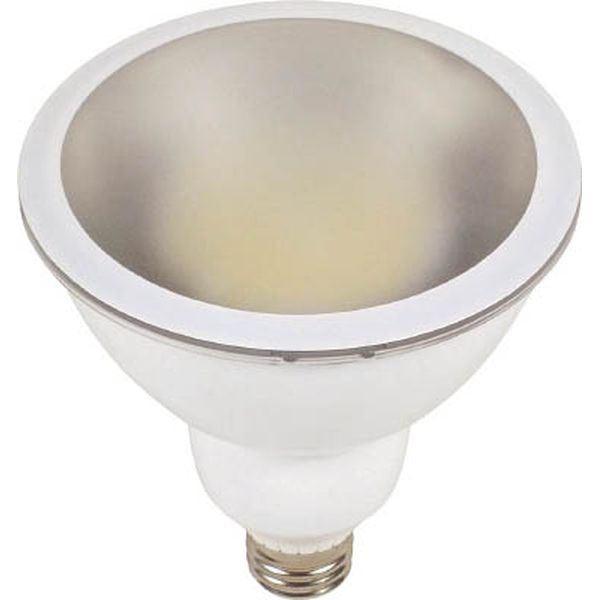 ＬＥＤ交換球　エコビック　１４Ｗ