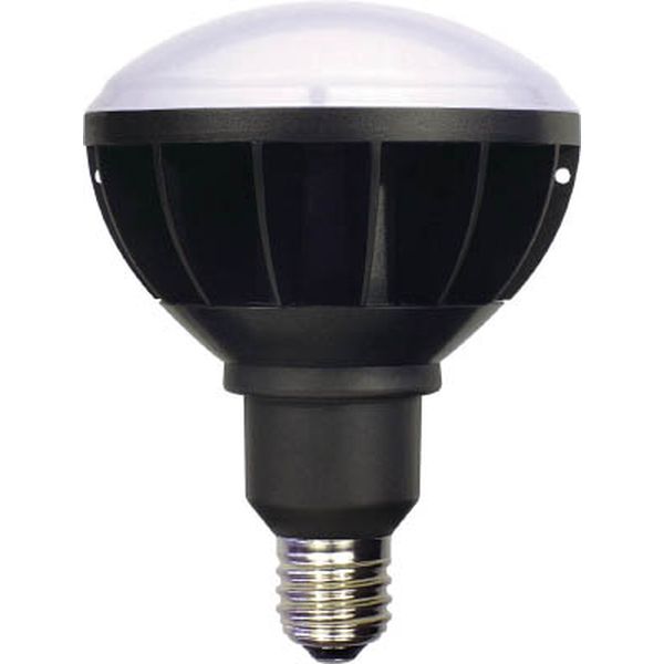 ＬＥＤ大型電球　エコビッグ５０