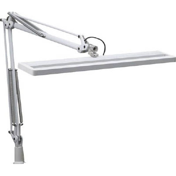 山田　Ｚ－ＬＩＧＨＴ