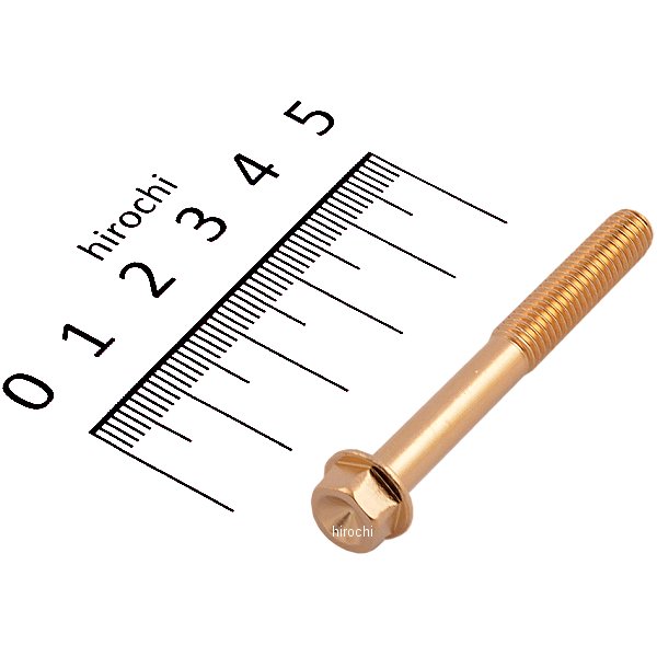 スモールフランジ六角ボルト 24Kメッキ M6x50 P1.0 1本入り