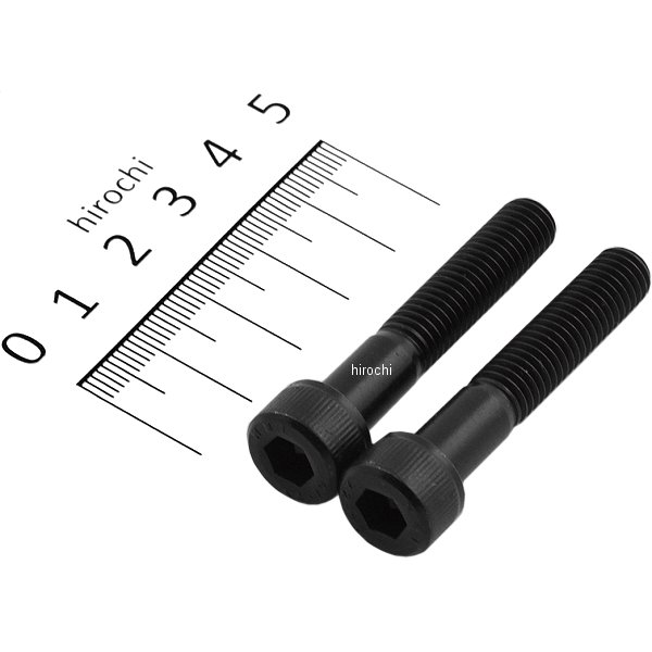 キャップボルトセット 汎用 M8x45mm ステンレス 2本入り 黒
