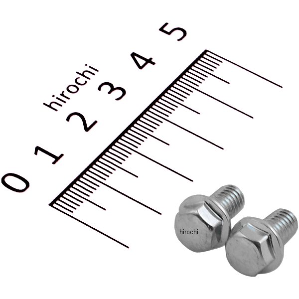 ホンダ純正タイプ フランジ六角ボルト ユニクロ M6x10 P1.0 2本入り