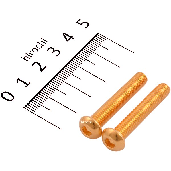 SUS304 六角穴付きボタンキャップボルト M6x35 P1.0 24Kメッキ