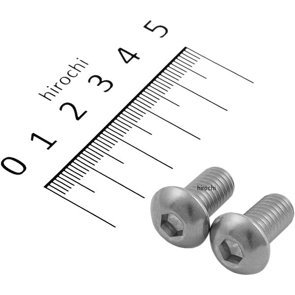 ボタンキャップボルトセット 汎用 M8x15mm ステンレス 2本入り