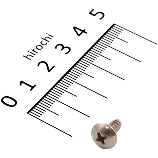 タッピングスクリュー 4×10 93903-24220