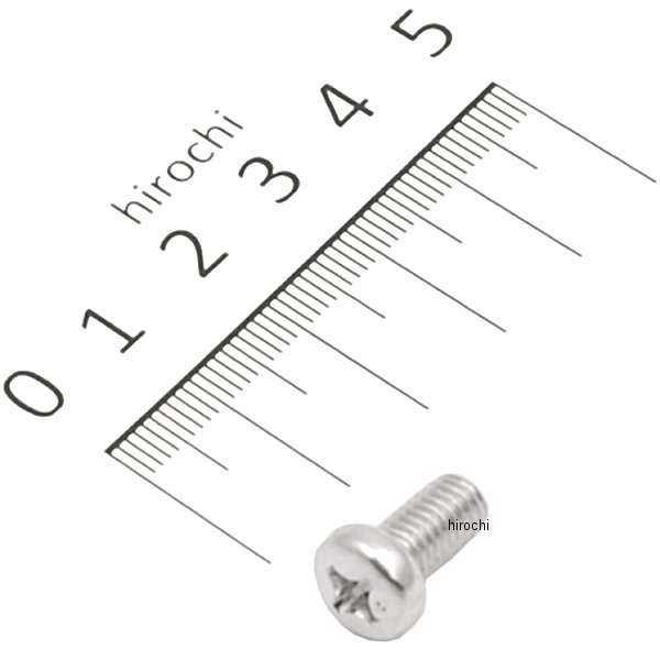 パンスクリュー 6×12 93500-06012