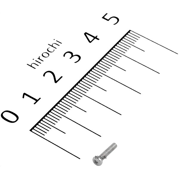 ラチェット用ビス(415・415SK・415SG用)