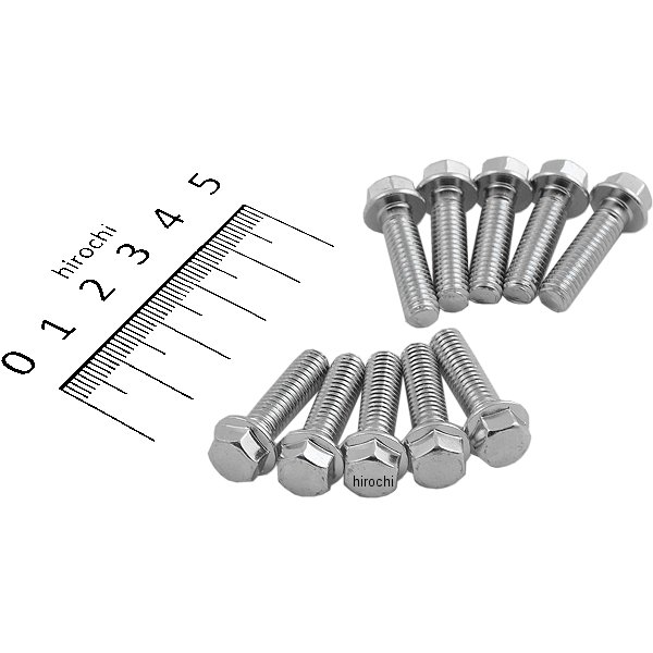ホンダ純正タイプ フランジ六角ボルト ユニクロ M6x22 P1.0 10本入り