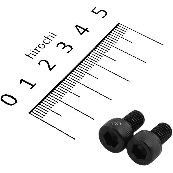 キャップボルトセット 汎用 M6x10mm ステンレス 2本入り 黒