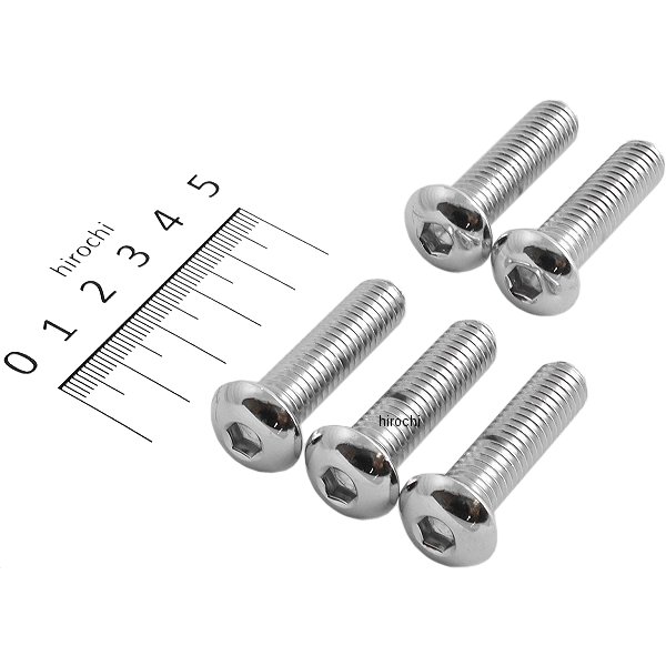 六角穴付きボタンボルト 3/8"x 16 x 1.5インチ(38mm) クローム (5個入り)
