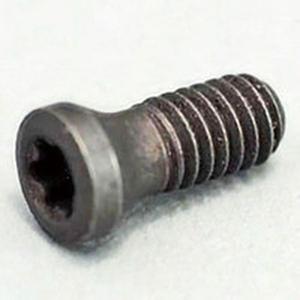 チップスクリュー